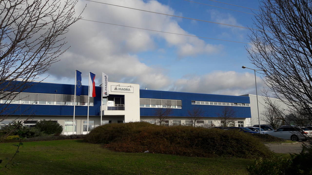 magna