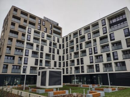 Fantastycznie jest rozpocząć nowy rok od dobrych wiadomości